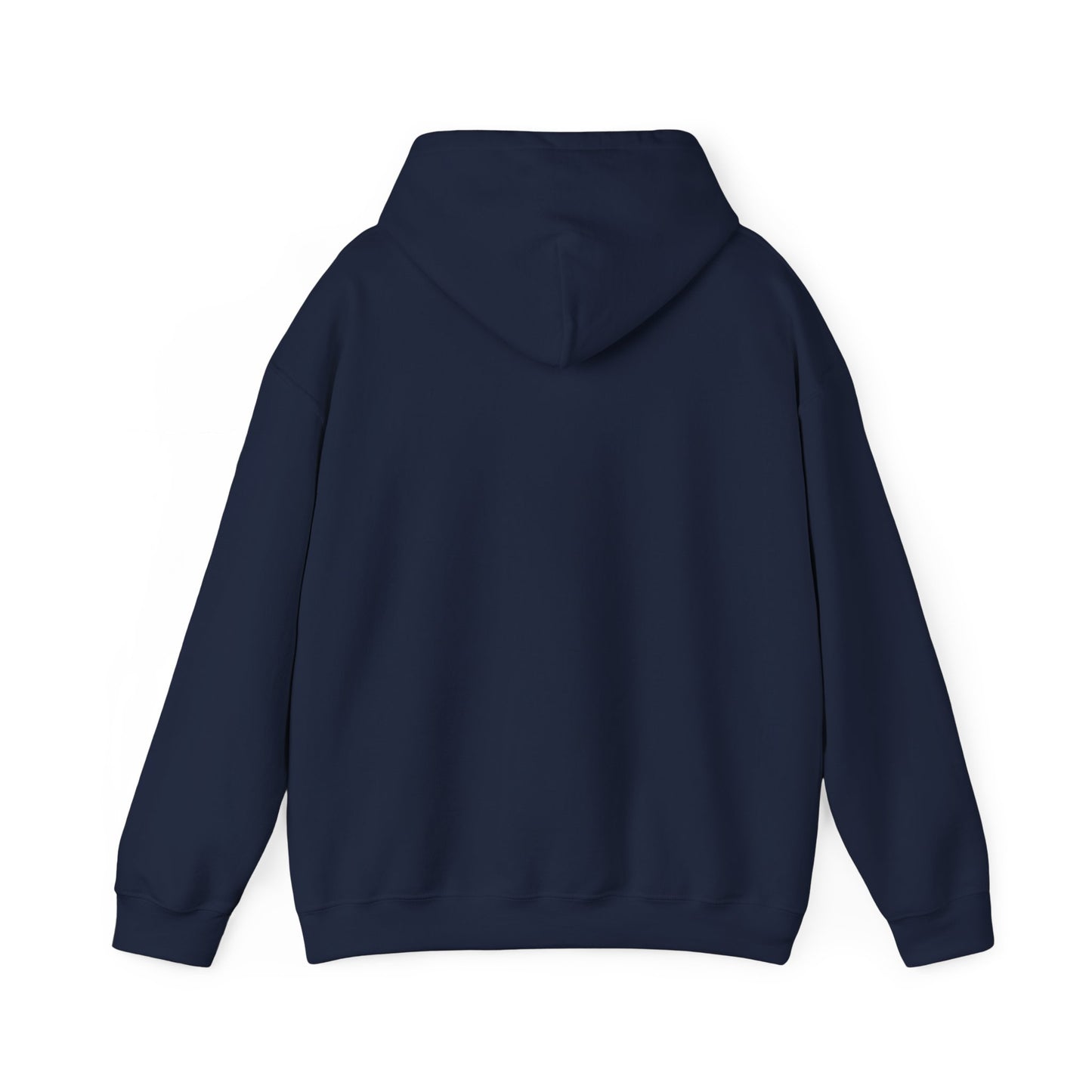 Appalachian Outlaws Hooded Sweatshirt