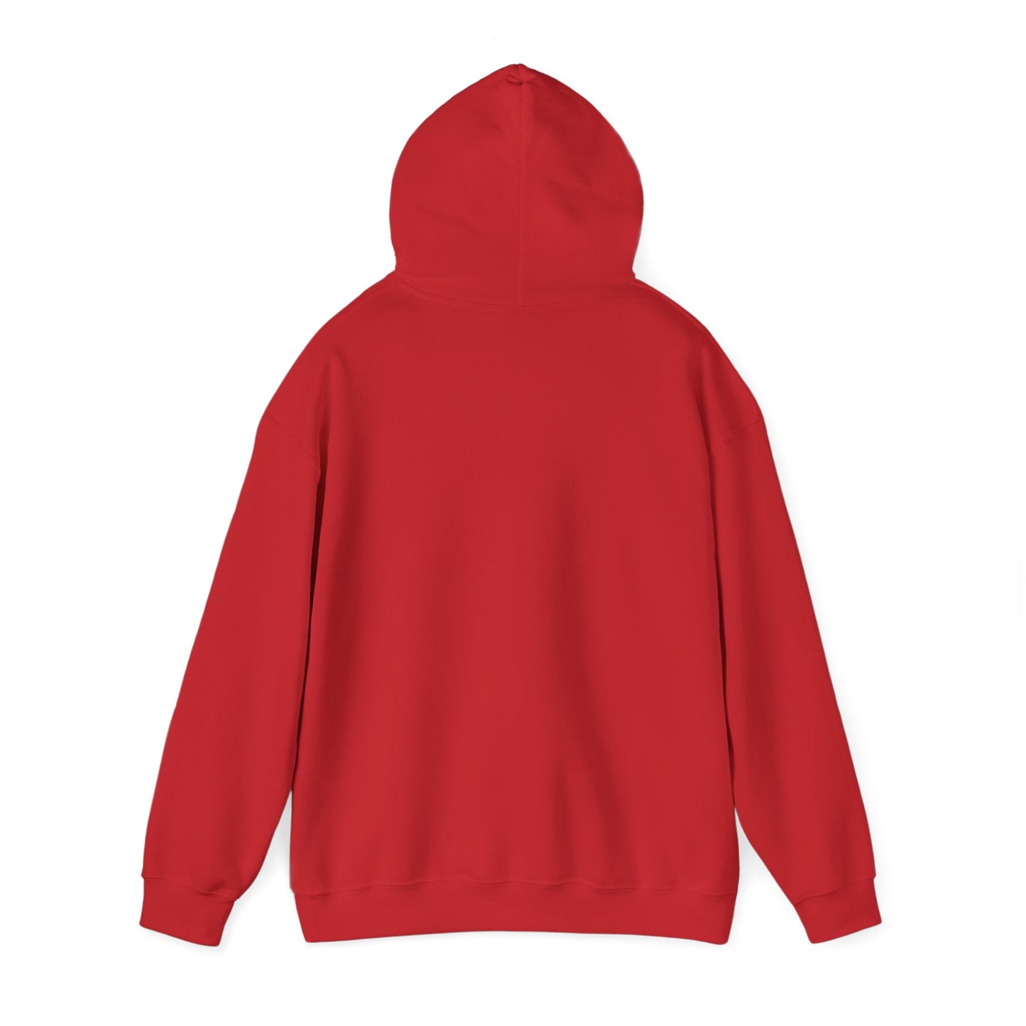 Appalachian Outlaws Hooded Sweatshirt