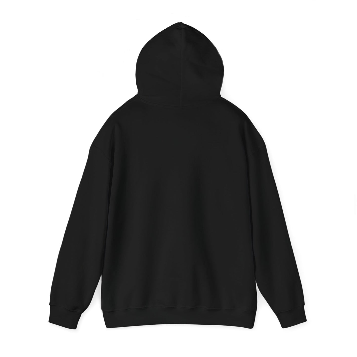 Appalachian Outlaws Hooded Sweatshirt