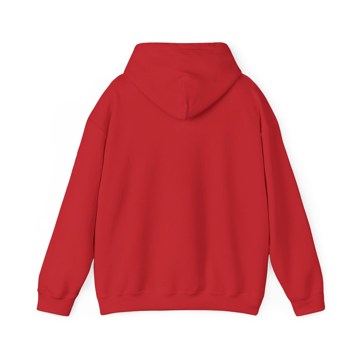 Appalachian Outlaws Hooded Sweatshirt