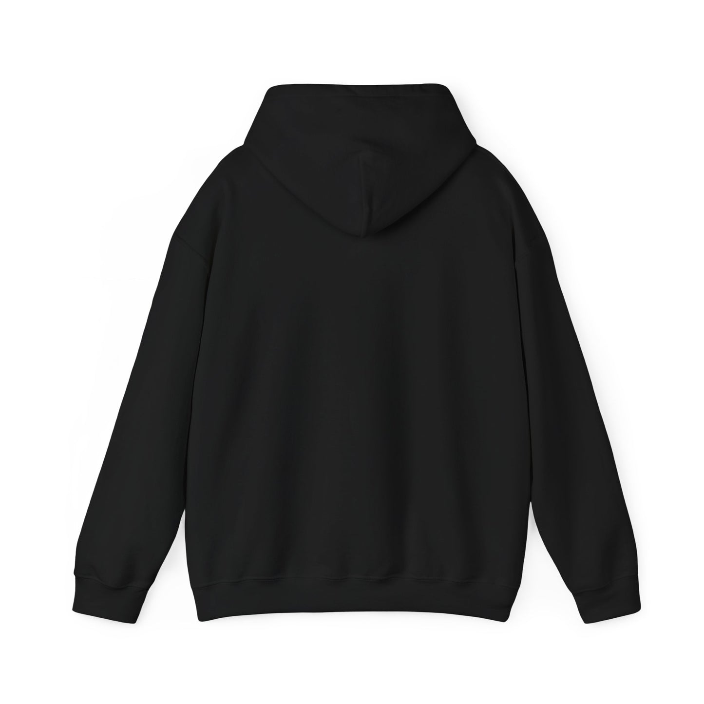 Appalachian Outlaws Hooded Sweatshirt