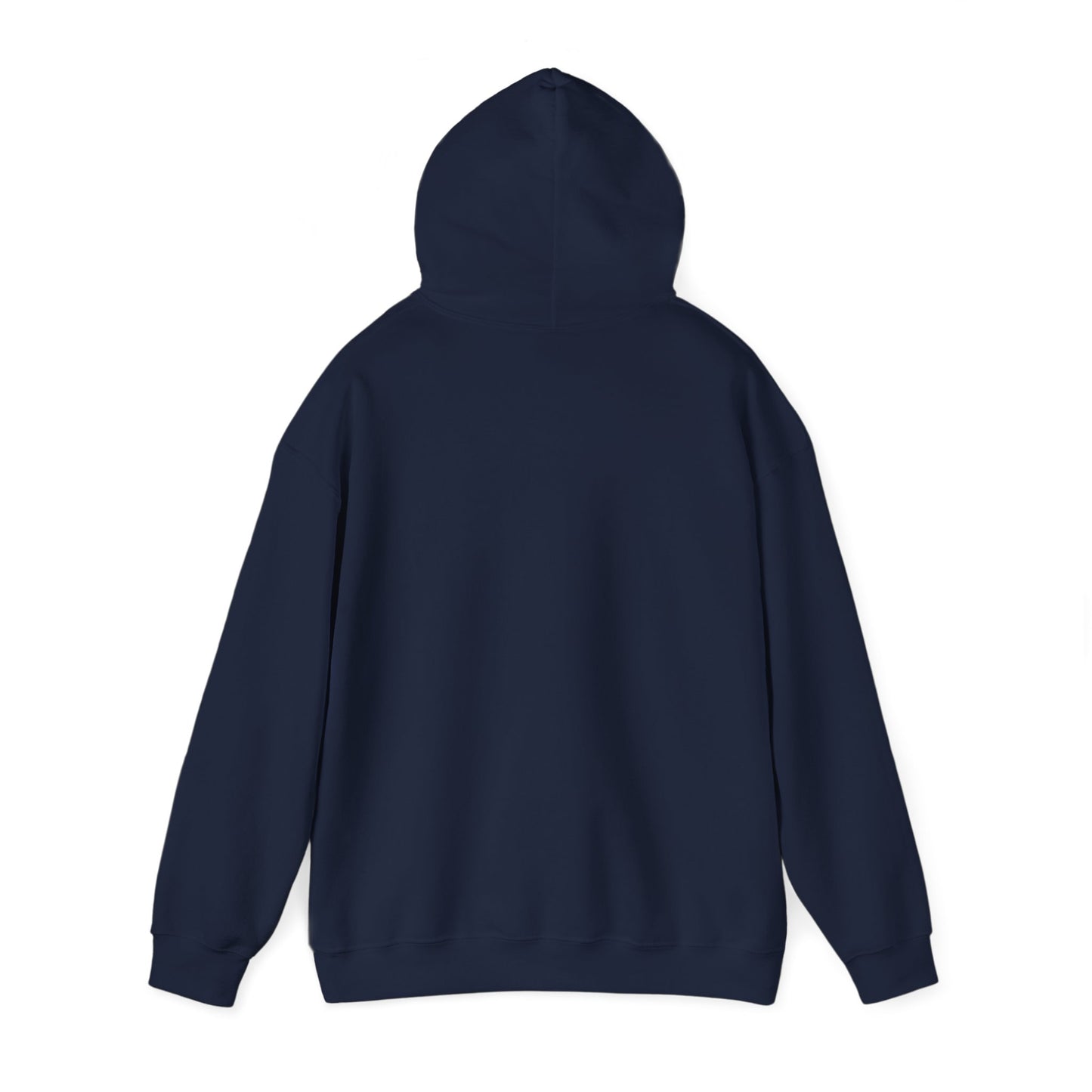 Appalachian Outlaws Hooded Sweatshirt